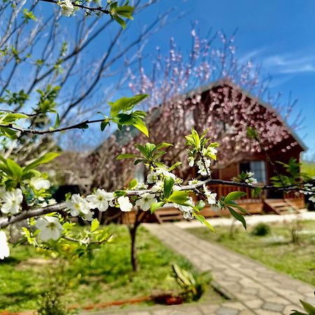 Sweet Village Tskaltubo ภายนอก รูปภาพ